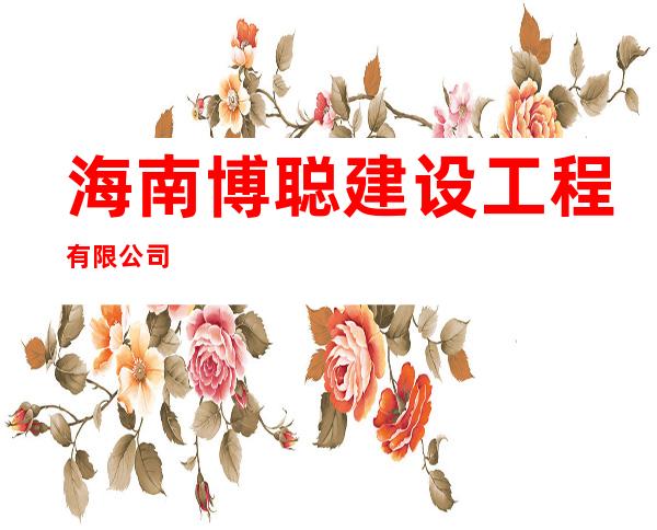 海南博聪建设工程有限公司
