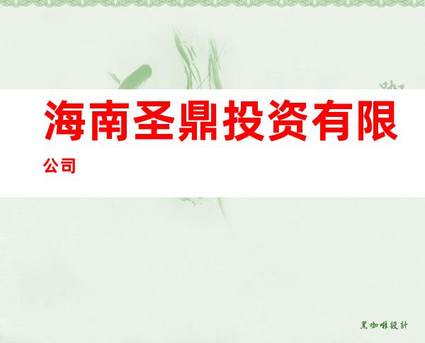 海南圣鼎投资有限公司