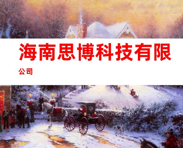 海南思博科技有限公司