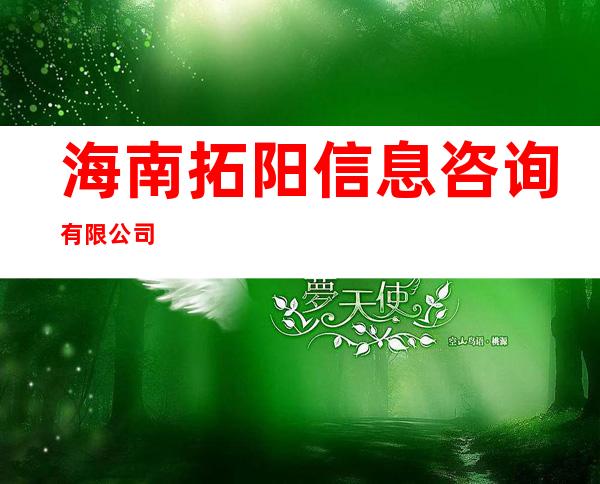 海南拓阳信息咨询有限公司