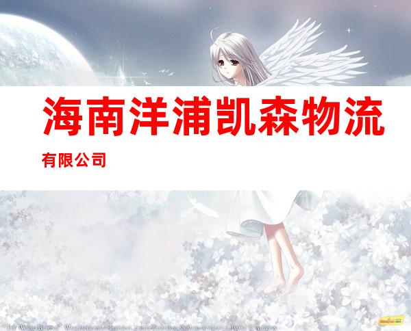 海南洋浦凯森物流有限公司