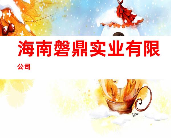 海南磐鼎实业有限公司