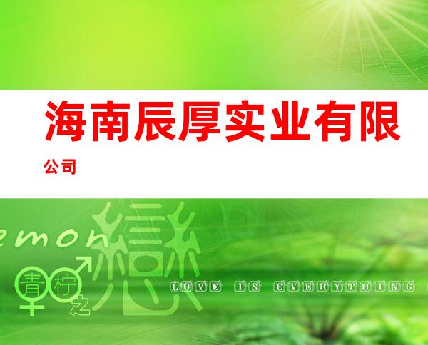 海南辰厚实业有限公司