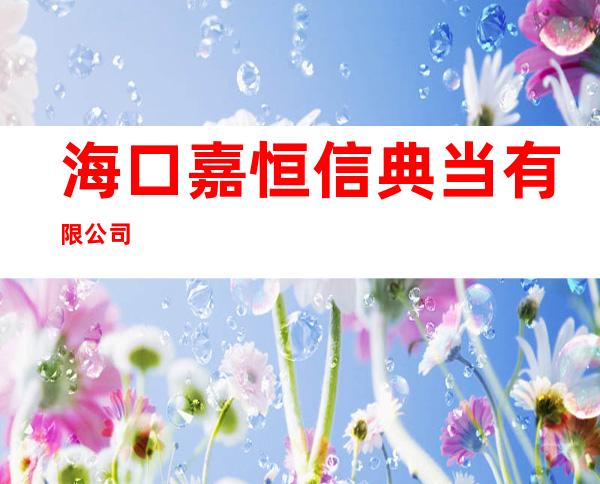 海口嘉恒信典当有限公司
