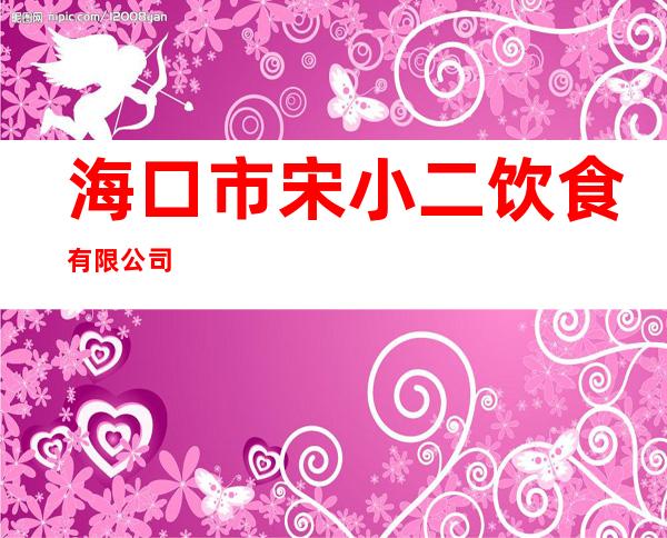 海口市宋小二饮食有限公司