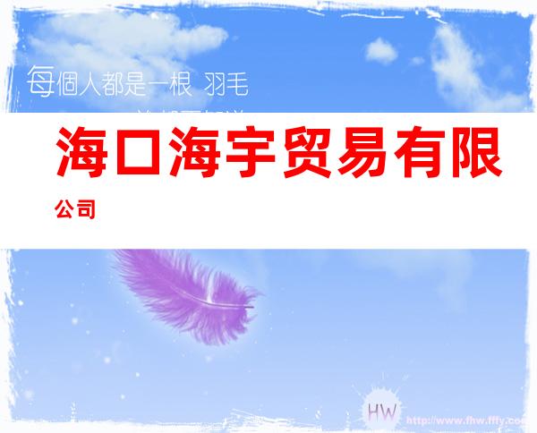 海口海宇贸易有限公司