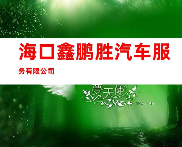 海口鑫鹏胜汽车服务有限公司