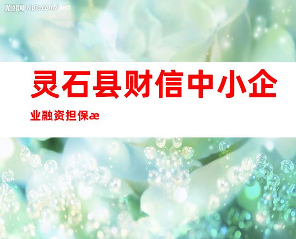 灵石县财信中小企业融资担保有限公司