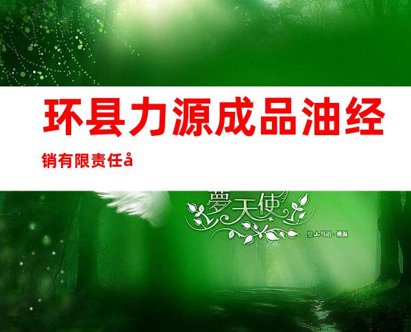 环县力源成品油经销有限责任公司