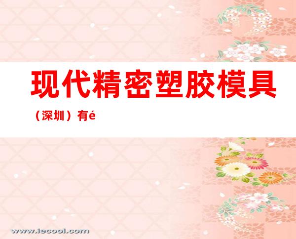 现代精密塑胶模具(深圳)有限公司