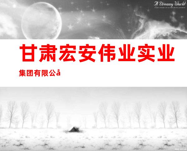 甘肃宏安伟业实业集团有限公司