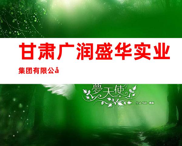 甘肃广润盛华实业集团有限公司
