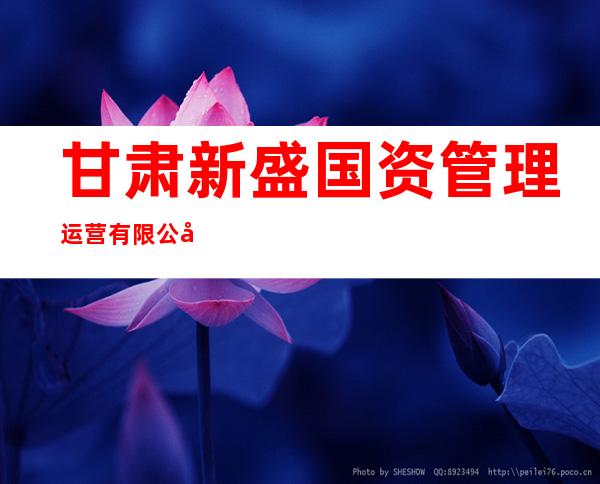 甘肃新盛国资管理运营有限公司