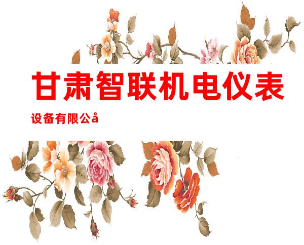 甘肃智联机电仪表设备有限公司