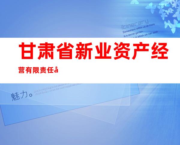 甘肃省新业资产经营有限责任公司