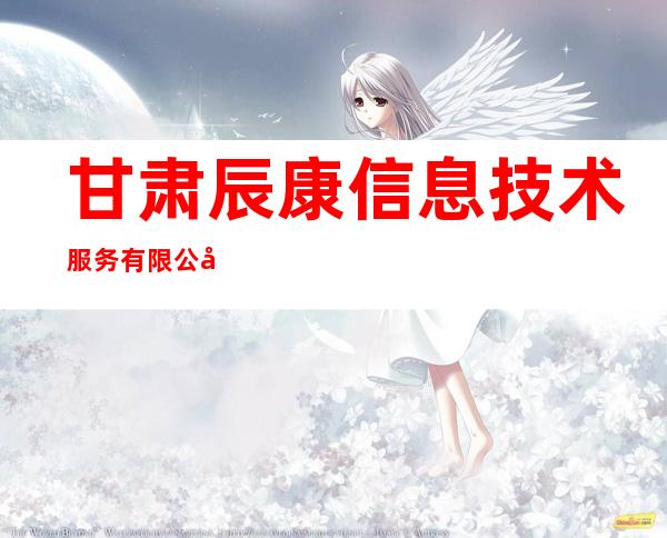 甘肃辰康信息技术服务有限公司