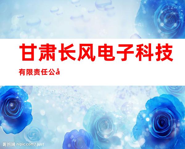 甘肃长风电子科技有限责任公司