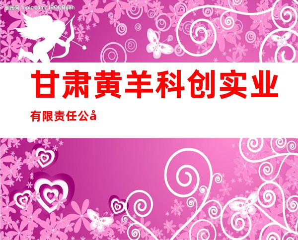 甘肃黄羊科创实业有限责任公司