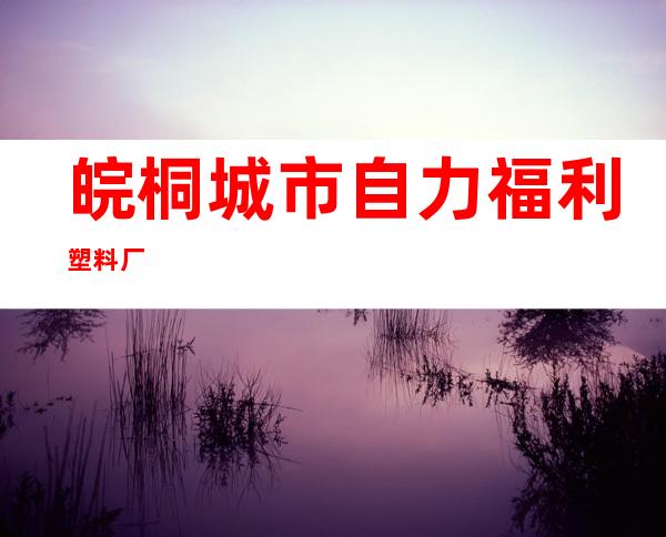 皖桐城市自力福利塑料厂