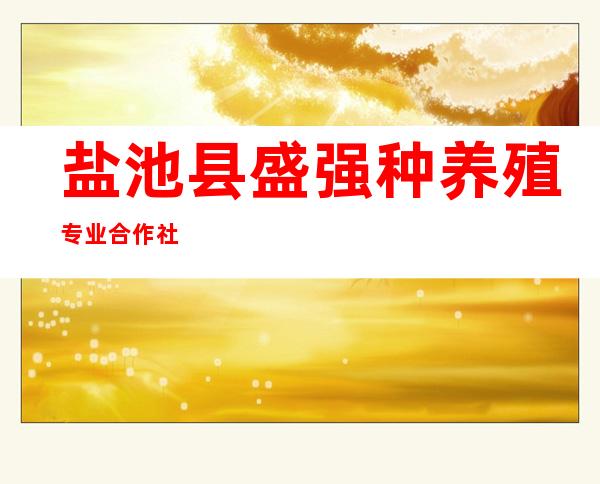 盐池县盛强种养殖专业合作社