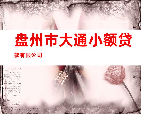 盘州市大通小额贷款有限公司