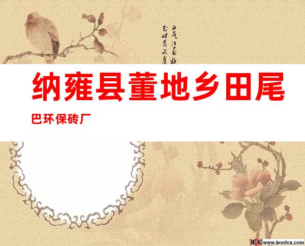 纳雍县董地乡田尾巴环保砖厂