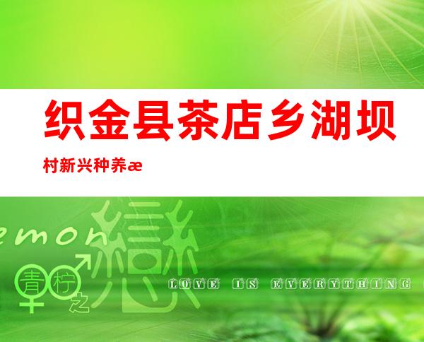 织金县茶店乡湖坝村新兴种养殖场