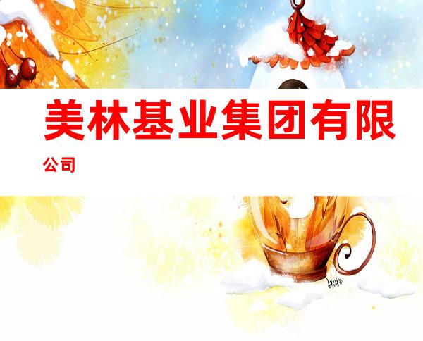 美林基业集团有限公司
