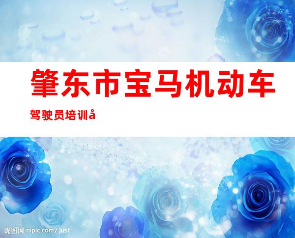 肇东市宝马机动车驾驶员培训学校