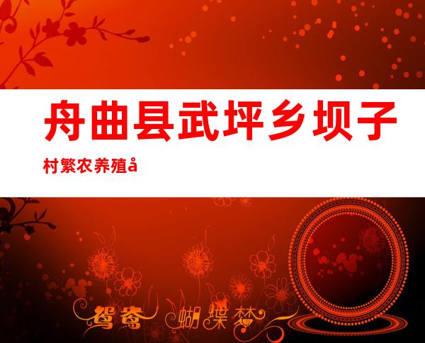 舟曲县武坪乡坝子村繁农养殖农民专业合作社