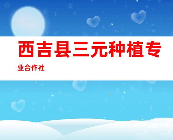 西吉县三元种植专业合作社