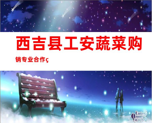 西吉县工安蔬菜购销专业合作社