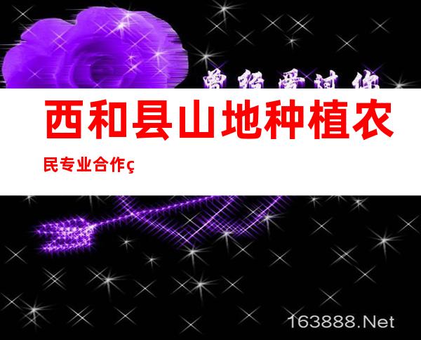 西和县山地种植农民专业合作社