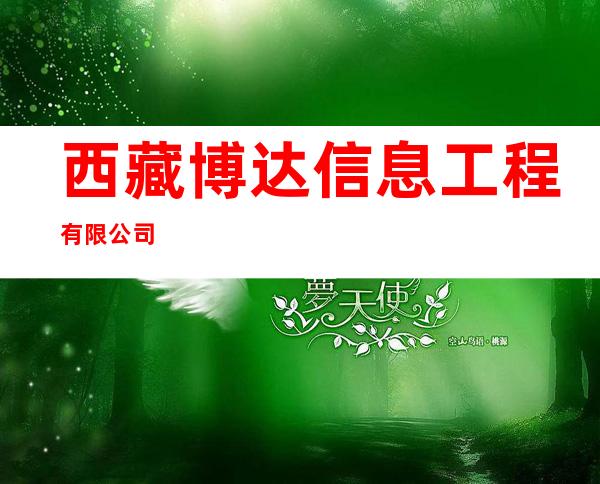 西藏博达信息工程有限公司