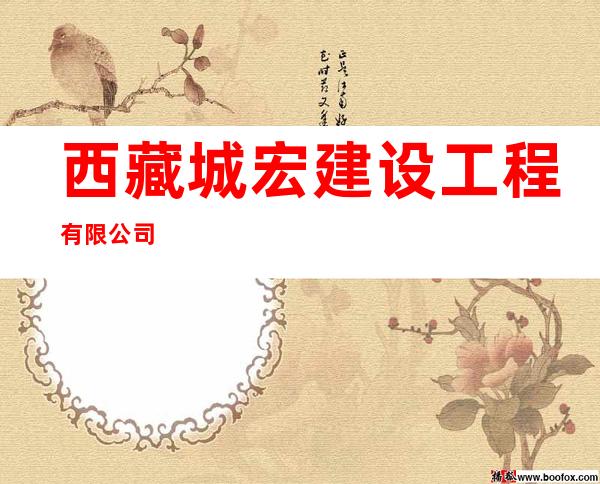 西藏城宏建设工程有限公司