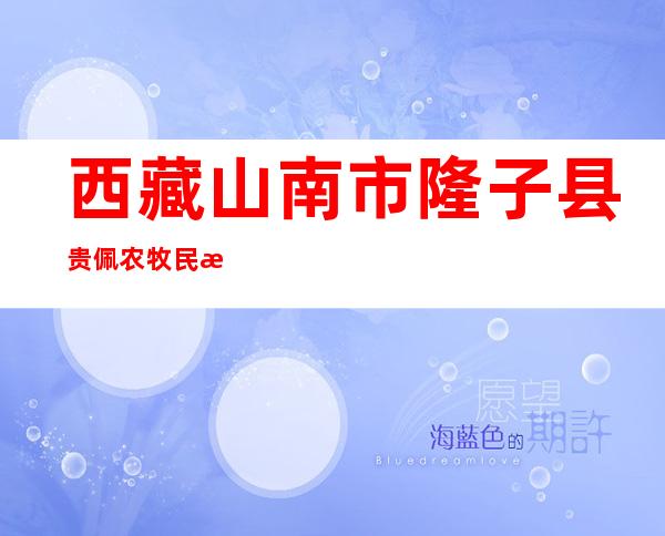 西藏山南市隆子县贵佩农牧民施工队