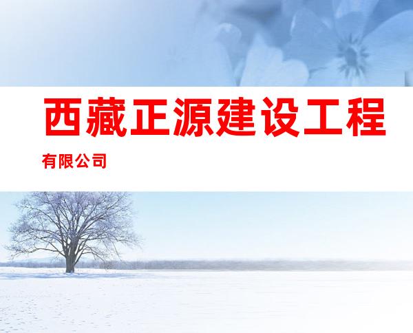 西藏正源建设工程有限公司