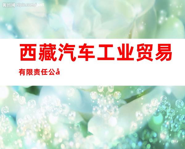 西藏汽车工业贸易有限责任公司林芝分公司