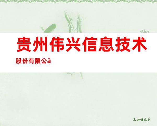 贵州伟兴信息技术股份有限公司