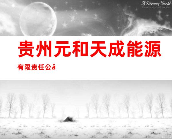 贵州元和天成能源有限责任公司