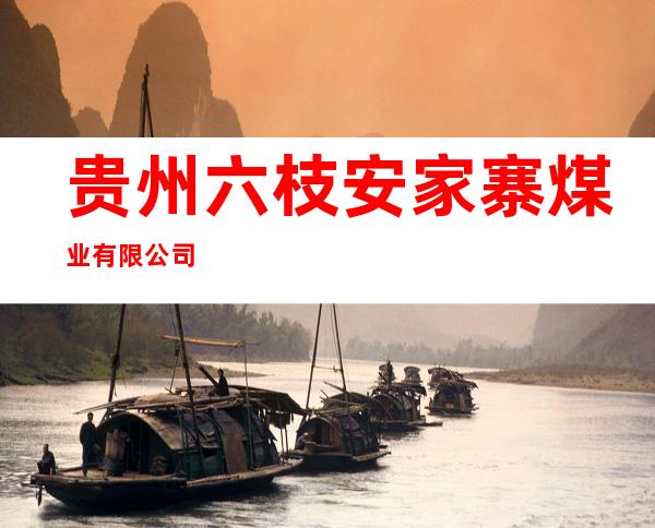 贵州六枝安家寨煤业有限公司