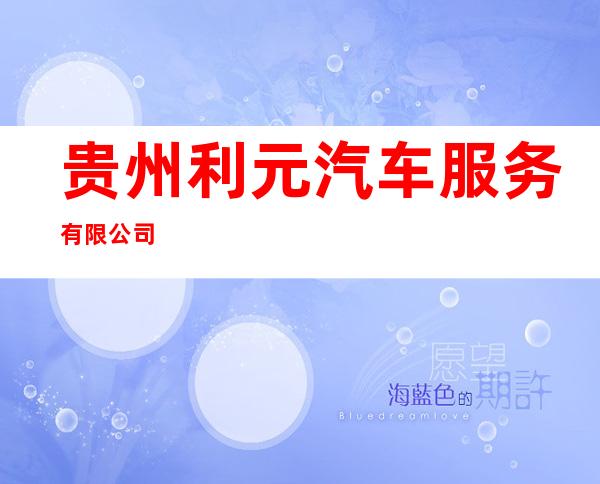 贵州利元汽车服务有限公司