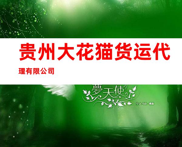 贵州大花猫货运代理有限公司