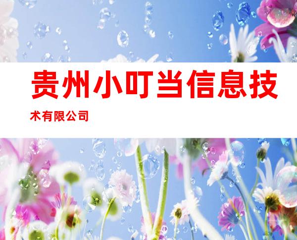 贵州小叮当信息技术有限公司