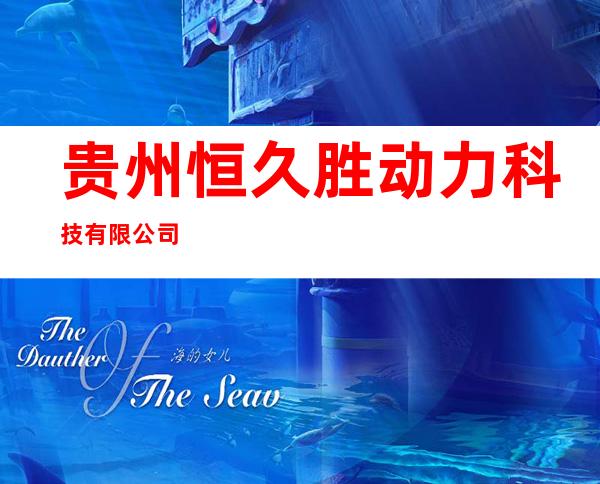 贵州恒久胜动力科技有限公司