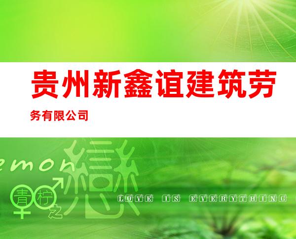 贵州新鑫谊建筑劳务有限公司