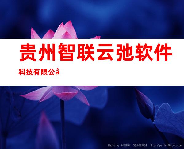 贵州智联云弛软件科技有限公司