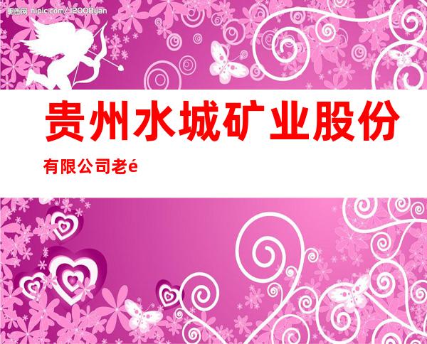 贵州水城矿业股份有限公司老鹰山煤矿