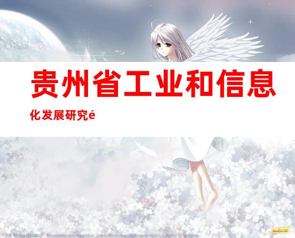 贵州省工业和信息化发展研究院