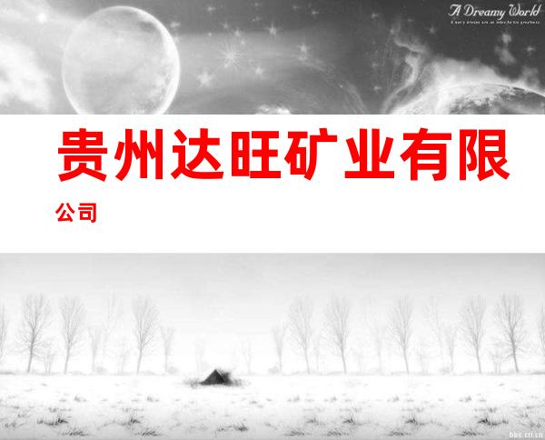 贵州达旺矿业有限公司